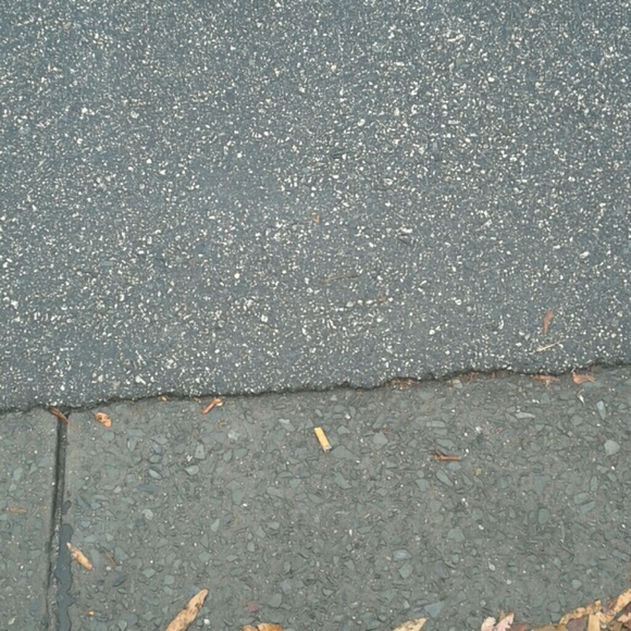 Meet your Posher, Jailyn - Picture 1 of 1