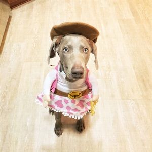 Meet your Posher, Kellie