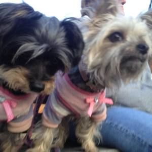 Meet your Posher, Suzanne