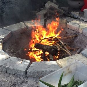 Meet your Posher, Bella