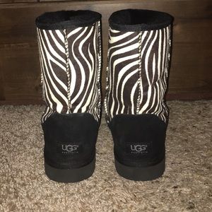 Short Zebra Classic Uggs