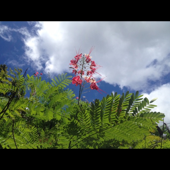 Meet your Posher, B - Picture 1 of 1