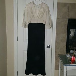 THE Beautiful Evening Dress