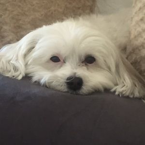 Meet your Posher, Tammy