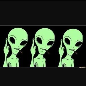 Meet your Posher, Alan