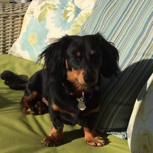 Meet your Posher, Gail