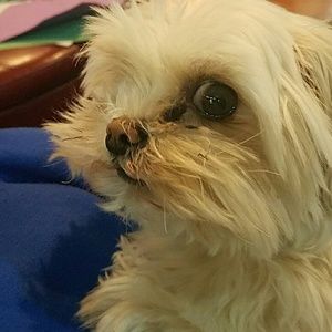 Meet your Posher, Mary