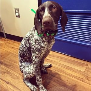 Meet your Posher, Christina