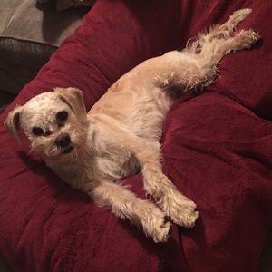 Meet your Posher, Brittney