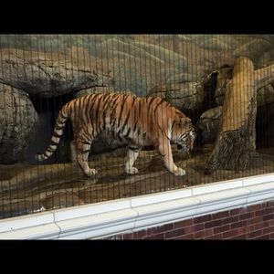 Meet your Posher, Craig