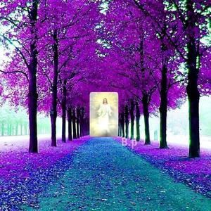 Meet your Posher, Hang