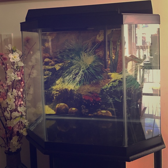 Fishing tank