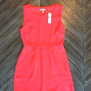 Lovely NWT pink J. Crew dress! Size 4P