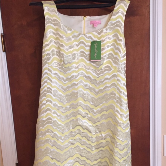 NWT Adrianna dress