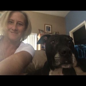 Meet your Posher, Lynette