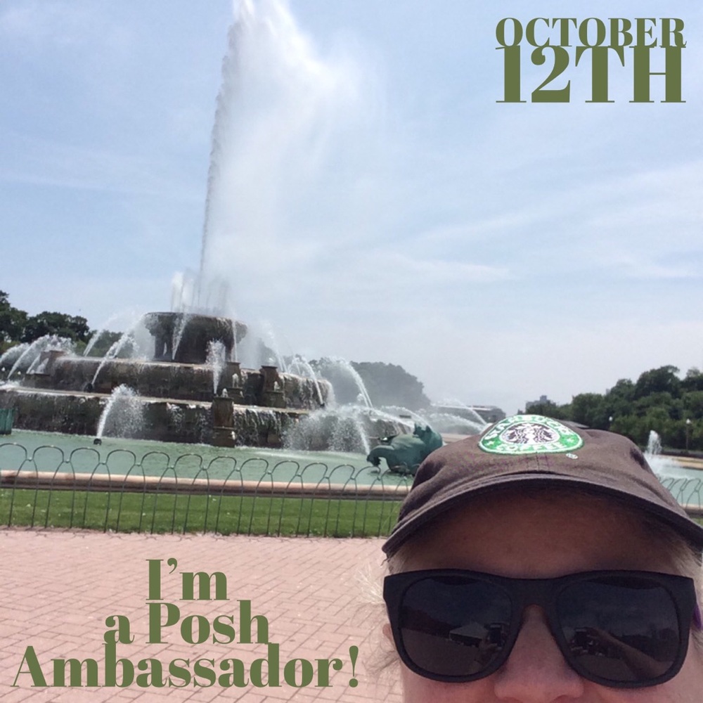 Meet your Posher, Ann