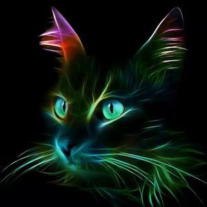 Meet your Posher, Jayne