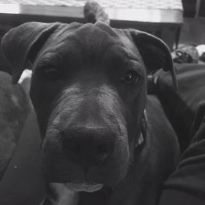 Meet your Posher, Mendy