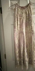 Southern fried chics dress