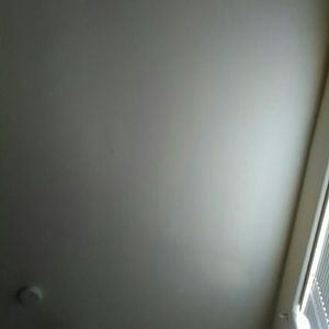 Meet your Posher, Carmen