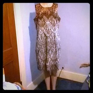 Ann Taylor Dress