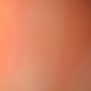 Meet your Posher, Allie