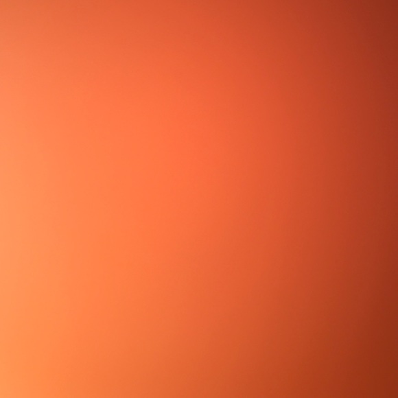 Meet your Posher, Haillie