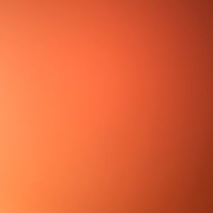 Meet your Posher, Haillie