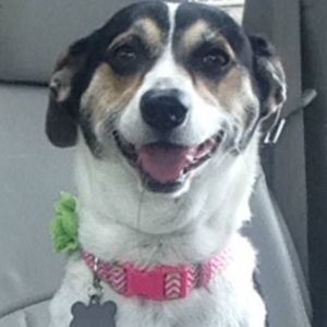 Meet your Posher, Jennifer