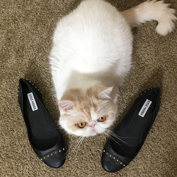 Steve Madden KStudd Studded Gold Black Flats - Picture 1 of 4