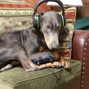 Meet your Posher, Aaron