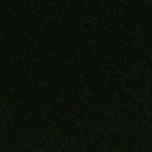 Meet your Posher, Dustin