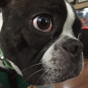 Meet your Posher, Candice