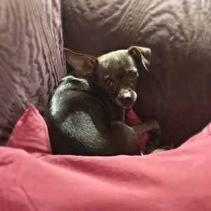 Meet your Posher, Michelle