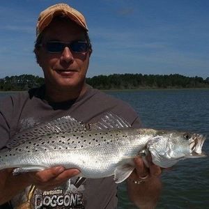 Meet your Posher, Robert