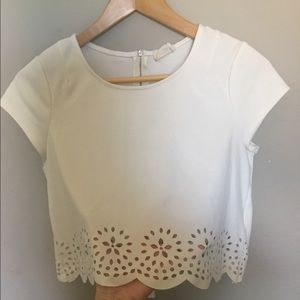 urban outfitters crop top