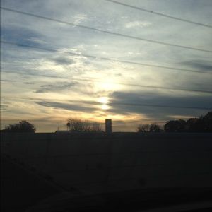 Meet your Posher, Brynn