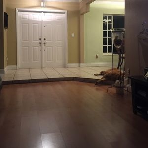 Meet your Posher, Judith