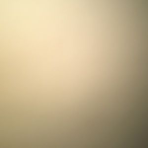 Meet your Posher, Pickle