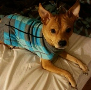 Meet your Posher, Natalie