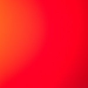 Meet your Posher, Bliss