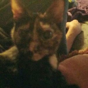 Meet your Posher, Kim