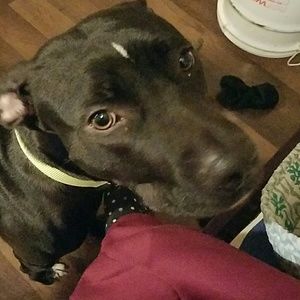 Meet your Posher, Aharon