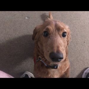 Meet your Posher, Jack