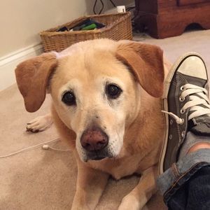 Meet your Posher, Heather