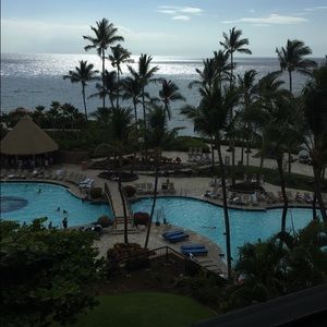 Meet your Posher, Kassidy