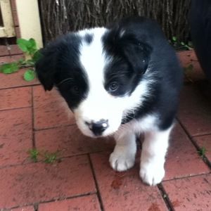 Meet your Posher, Mimi