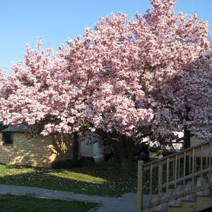 Meet your Posher, Lynn