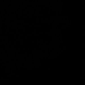 Meet your Posher, Dee