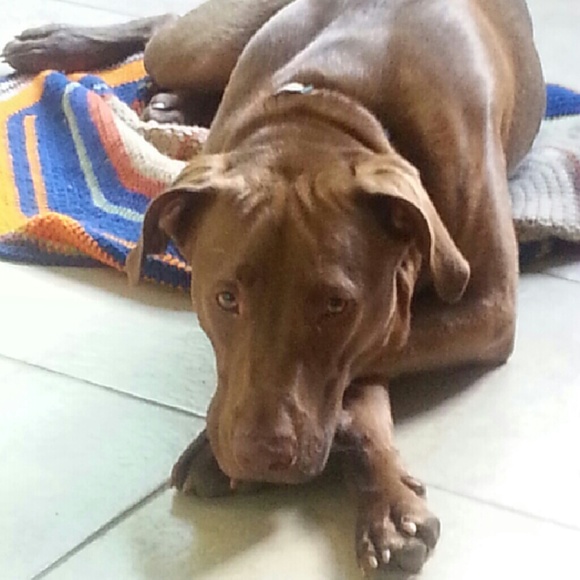 Meet your Posher, Casey - Picture 1 of 1